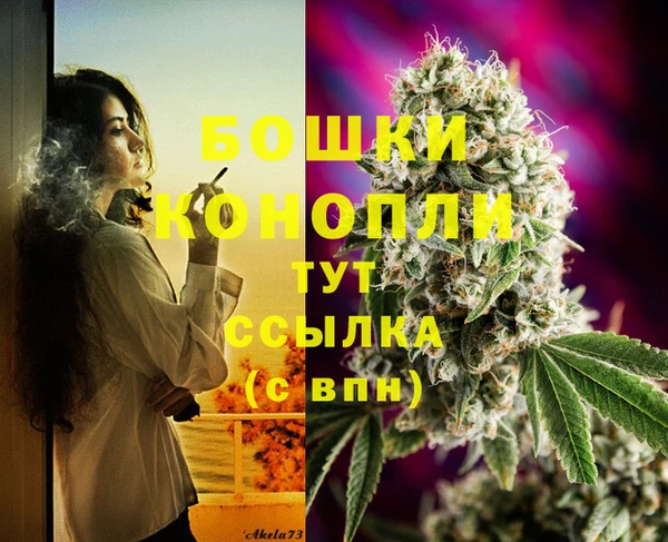винт Елизово