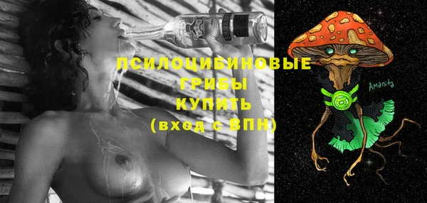 бутират Елабуга