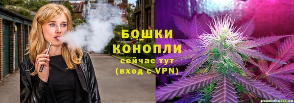 винт Елизово