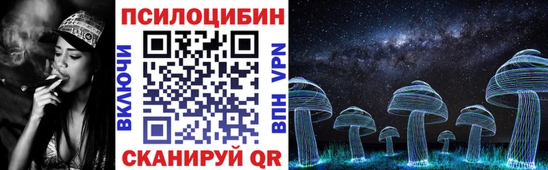 Купить где  Кореновск  Галлюциногенные грибы MAGIC MUSHROOMS 
